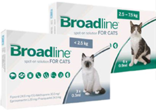 broadline cat treatment