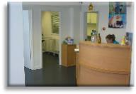 Just Cats Veterinary Clinic Reception Area.JPG