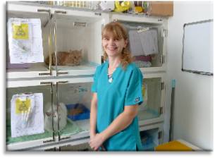 Louise Cross RVN - Veterinary Nurse